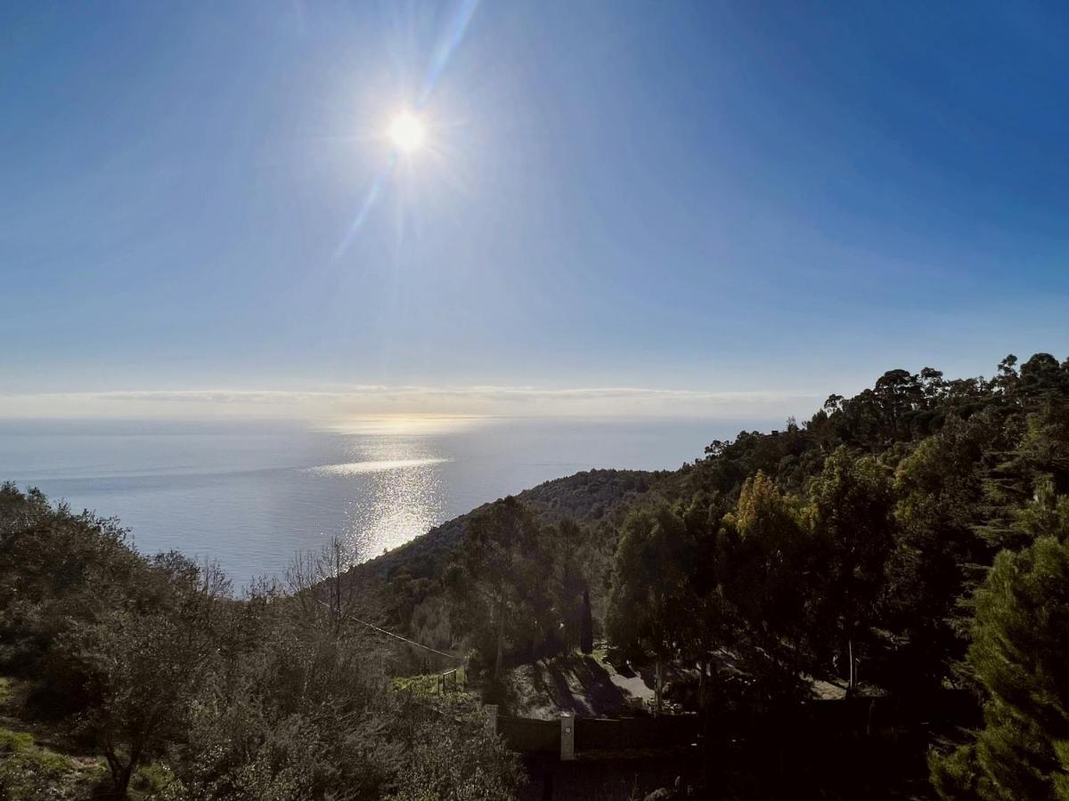 Magnifique 3 Pieces Vue Mer - Eze Lägenhet Exteriör bild